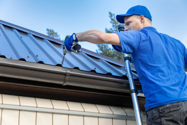 Best Skylight Installation and Repair  in Douglas, AZ