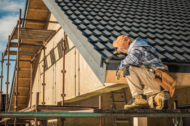 Best Roof Moss and Algae Removal  in Douglas, AZ