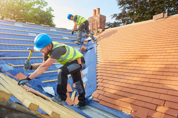 Best Cold Roofs  in Douglas, AZ